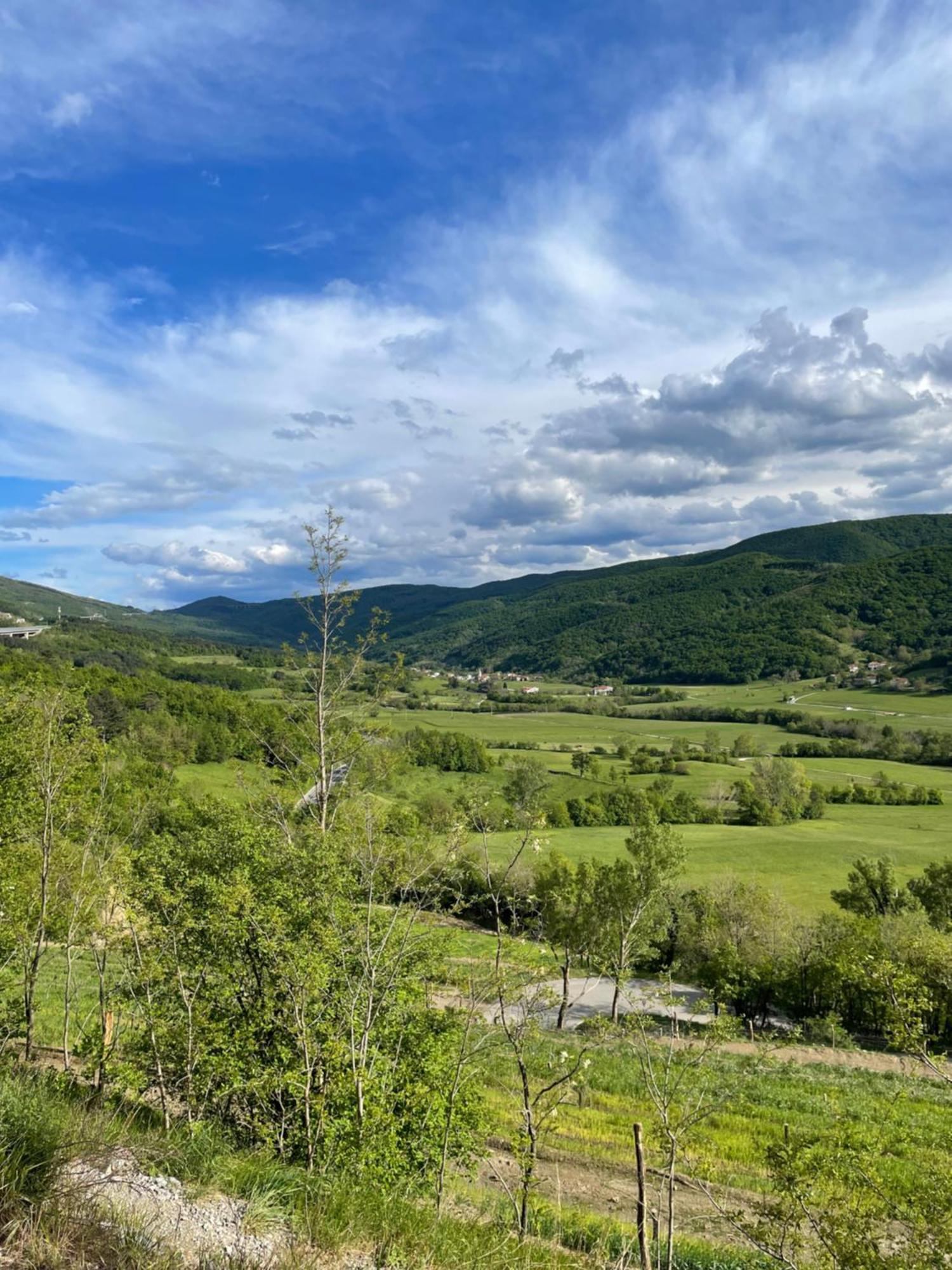 Podnanos Homestead - Domacija - Nabergoj מראה חיצוני תמונה